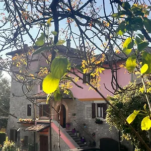 Camelia Appartamento